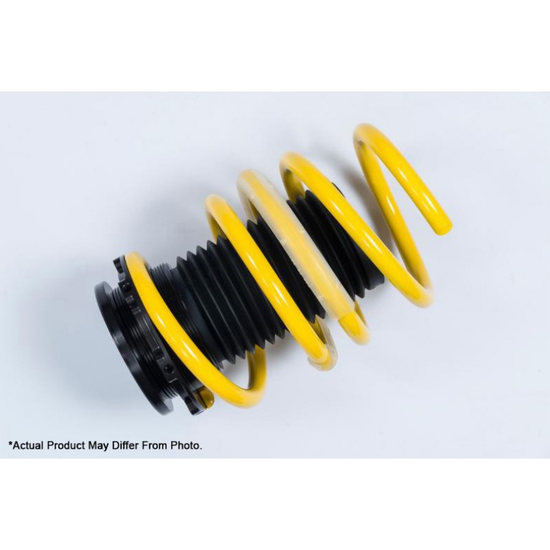 ST Adjustable Lowering Springs